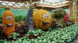 小黄人造型蔬果景观