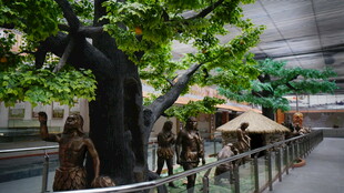 室内古树下的休闲场景