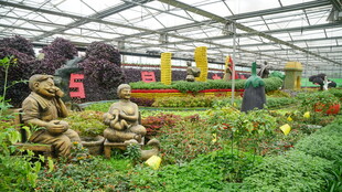 温室中的景观与人物造型