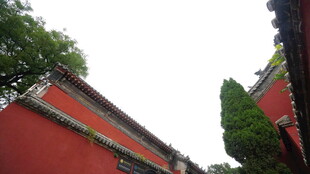 红墙绿树间的中式建筑