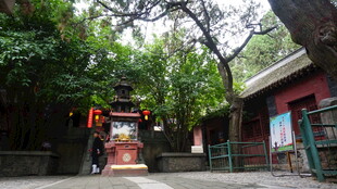 古雅中式建筑隐于绿荫