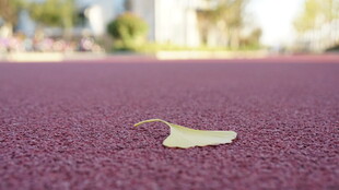跑道上的一片落叶