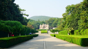 园林景观中的整齐绿植小道