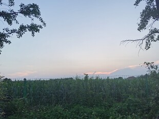 山林暮色景观