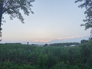 田野暮色风景