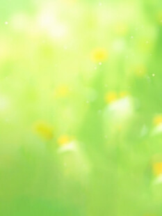 清新绿意点缀黄色