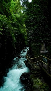 山间溪流栈道 绿意盎然