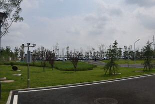 城郊开阔绿地景观