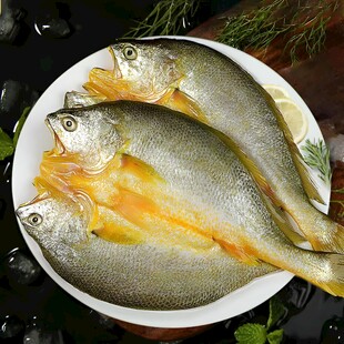 黄鱼