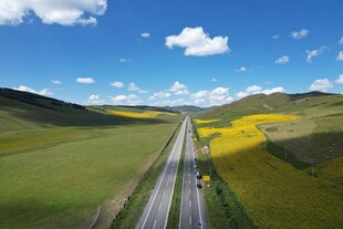 田园公路风光
