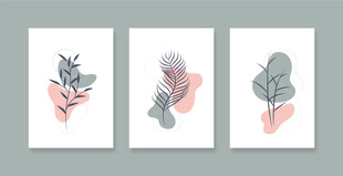 简约植物插画三幅组合