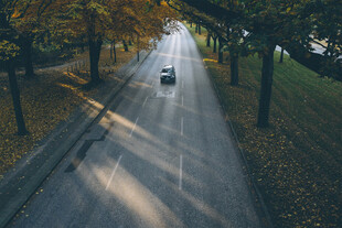 秋日林间公路上的行驶车辆