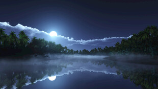 月夜湖畔迷雾美景