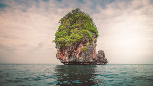 海中孤岩绿意盎然