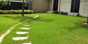 草坪上的石板小径