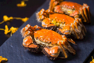 大闸蟹