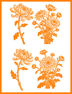 橙色菊花图案设计素材
