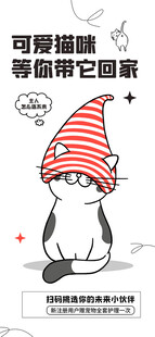 可爱猫戴帽等你抱回家