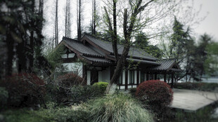 中式庭院