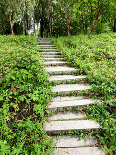 林间石阶小道