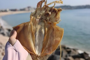 干鱿鱼
