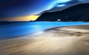 美丽海滨夜景风光