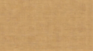 浅棕色纹理材质贴图