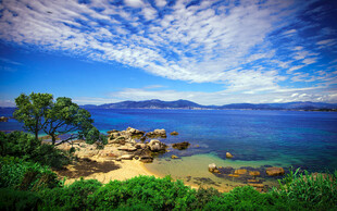海边美景 绿树蓝天映碧波