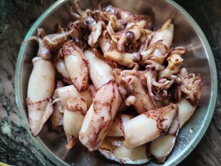 小鱿鱼