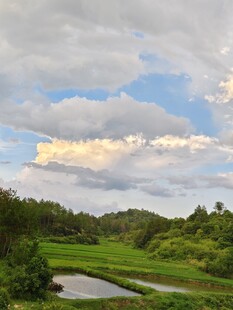 田园风光