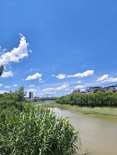 河畔蓝天绿植风景