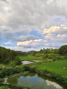 田园风光
