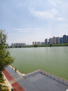 河畔城市风光