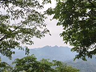 绿树远山