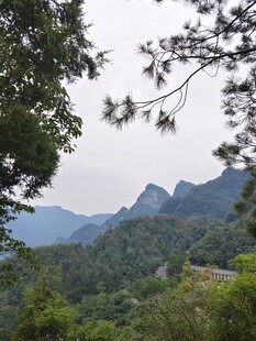 山林远眺美景