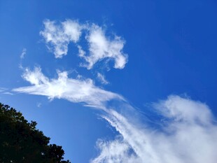 蓝天飘絮状白云美景