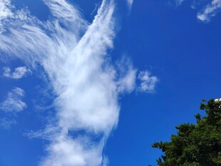蓝天飘絮状白云