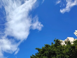 蓝天绿树间的白云美景