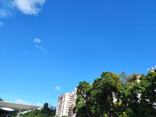 蓝天绿树旁的城市建筑