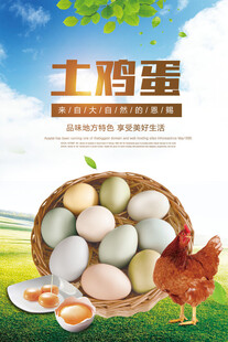 鸡蛋海报