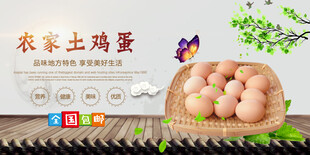 鸡蛋海报