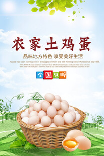 农家土鸡蛋