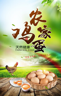 鸡蛋海报