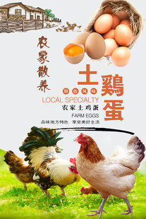 鸡蛋海报