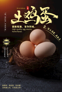 鸡蛋海报