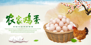 鸡蛋海报