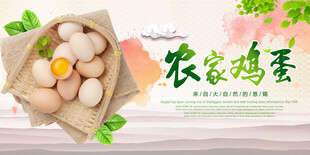 鸡蛋海报