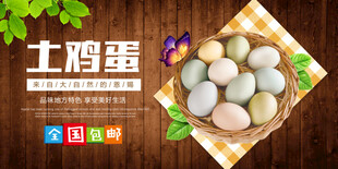 鸡蛋海报