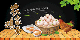 鸡蛋海报