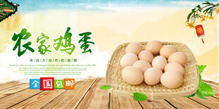 鸡蛋海报